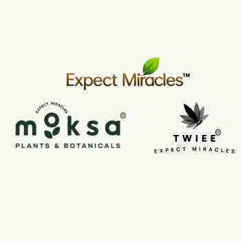 Expect Miracles Life Sciences LLP